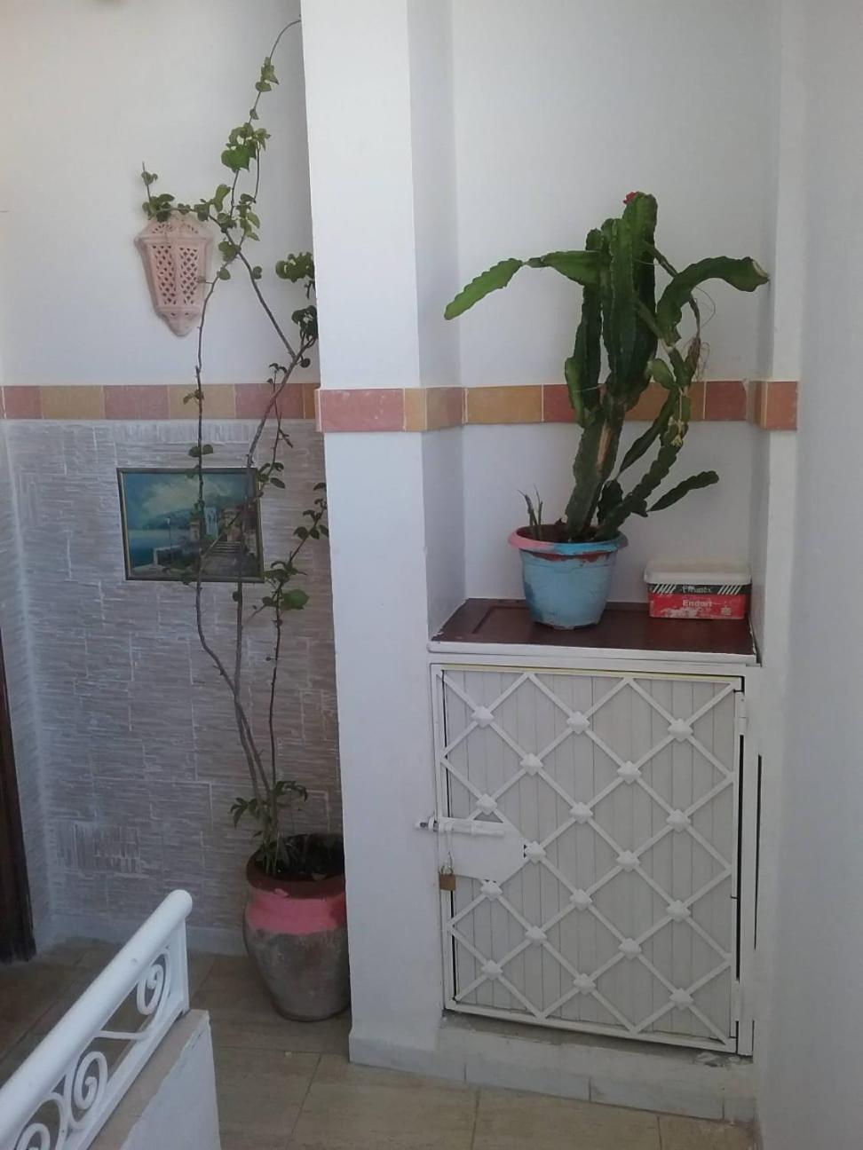 Nour A Cote De La Plage Centre Ville Suza Zewnętrze zdjęcie